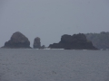 DSC07877