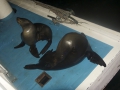 DSC08022