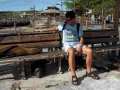 DSC08341-01