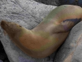 DSC08366-01